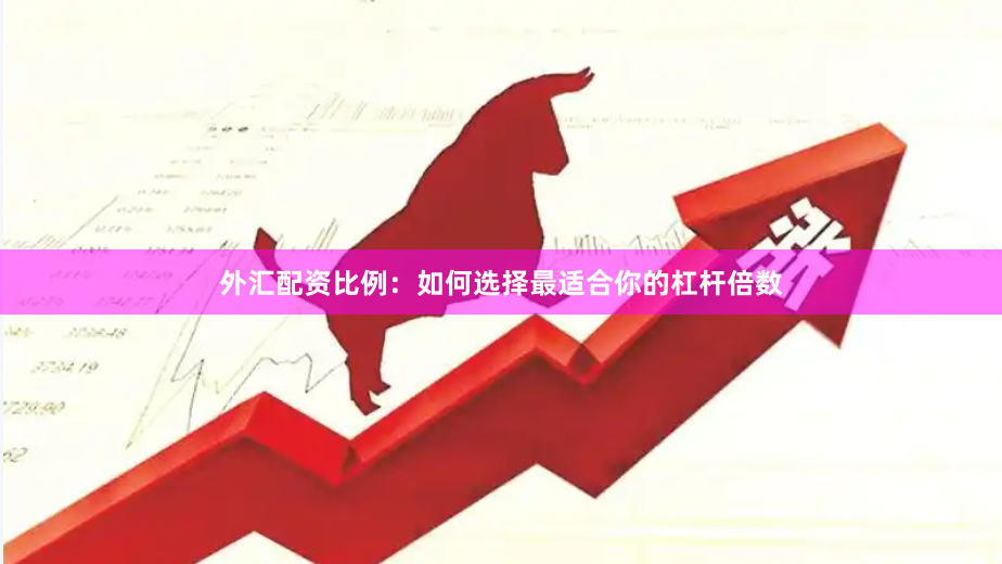 外汇配资比例：如何选择最适合你的杠杆倍数